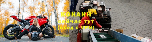 ALPHA PVP Новозыбков