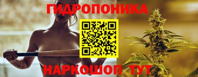 индика Заводоуковск