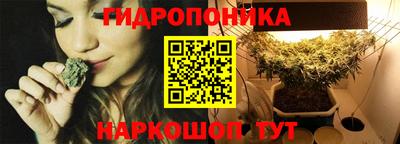 индика Заводоуковск