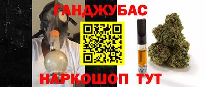 индика Заводоуковск