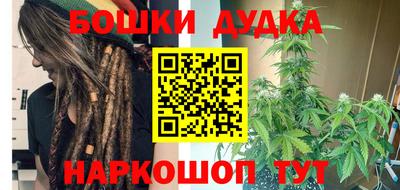 индика Заводоуковск