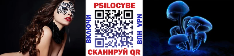 Галлюциногенные грибы Psilocybe Фурманов