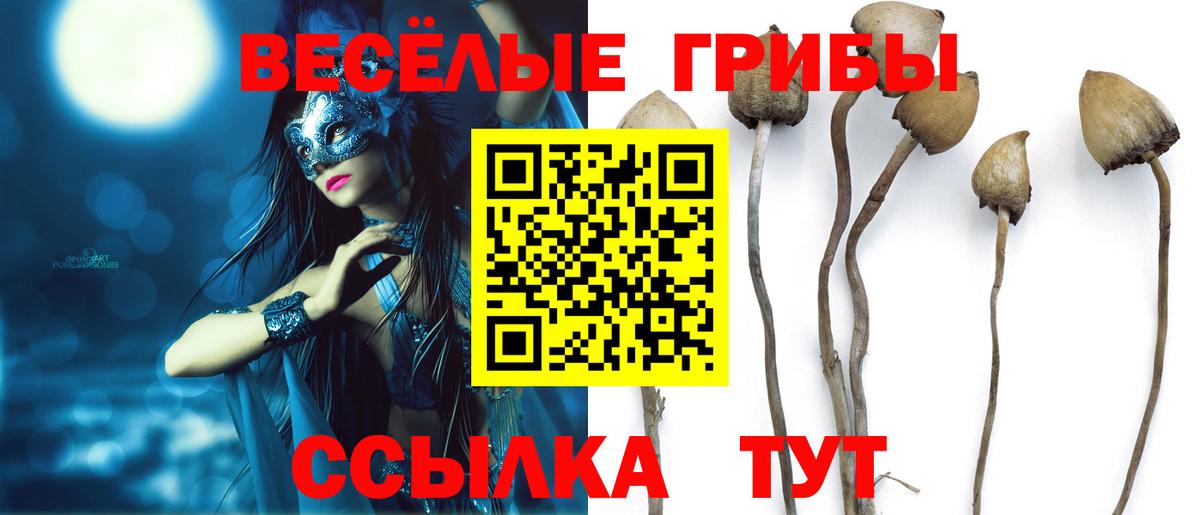 Псилоцибиновые грибы Psilocybine cubensis Фурманов