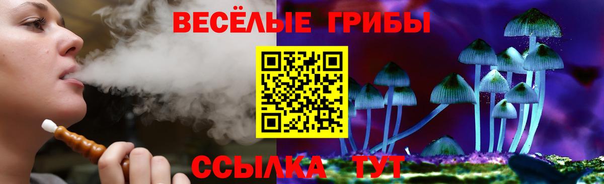 дарнет шоп  Псилоцибиновые грибы Magic Shrooms  Вход с VPN  Фурманов 